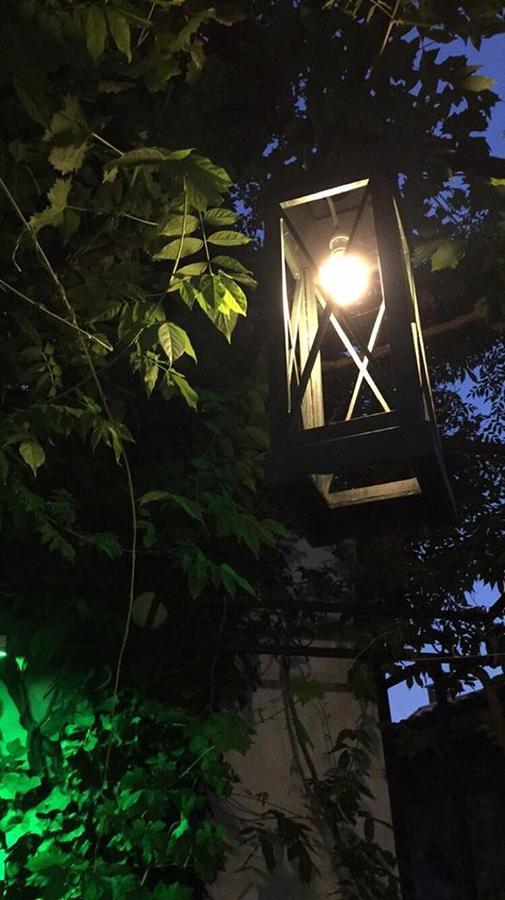 Dalyan Butik Otel Hayat Bahcesi Ayvalı 外观 照片